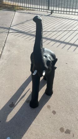 Black Animal