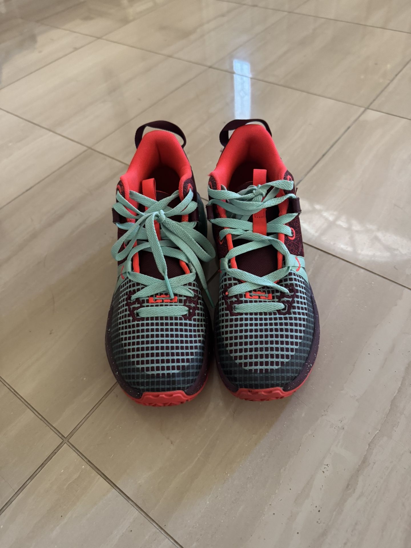 Nike LeBron Witness 7SE