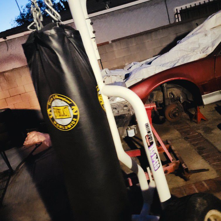 Punching Bag And Stand 