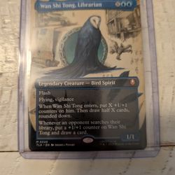 Wan Shi Tong, Librarian (Borderless) - Avatar: The Last Airbender (TLA)