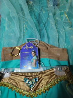Jasmine Costume