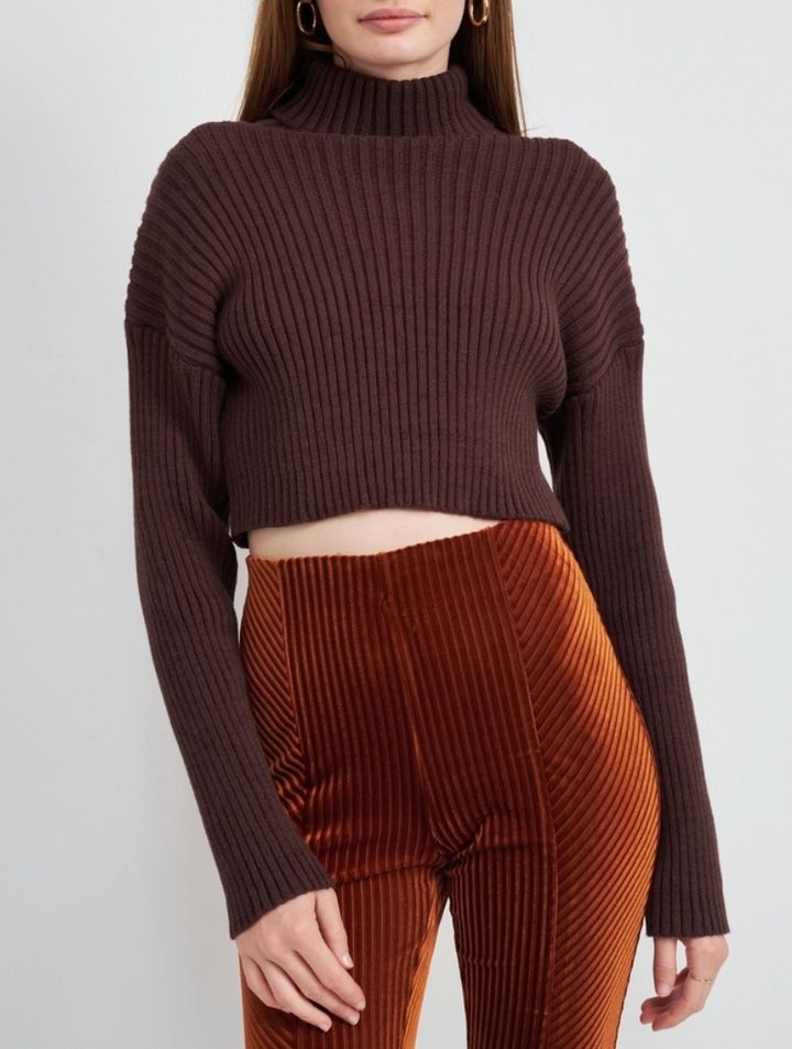 Isails Brown Ribbed Turtleneck Cropped Knit Sweater Size M