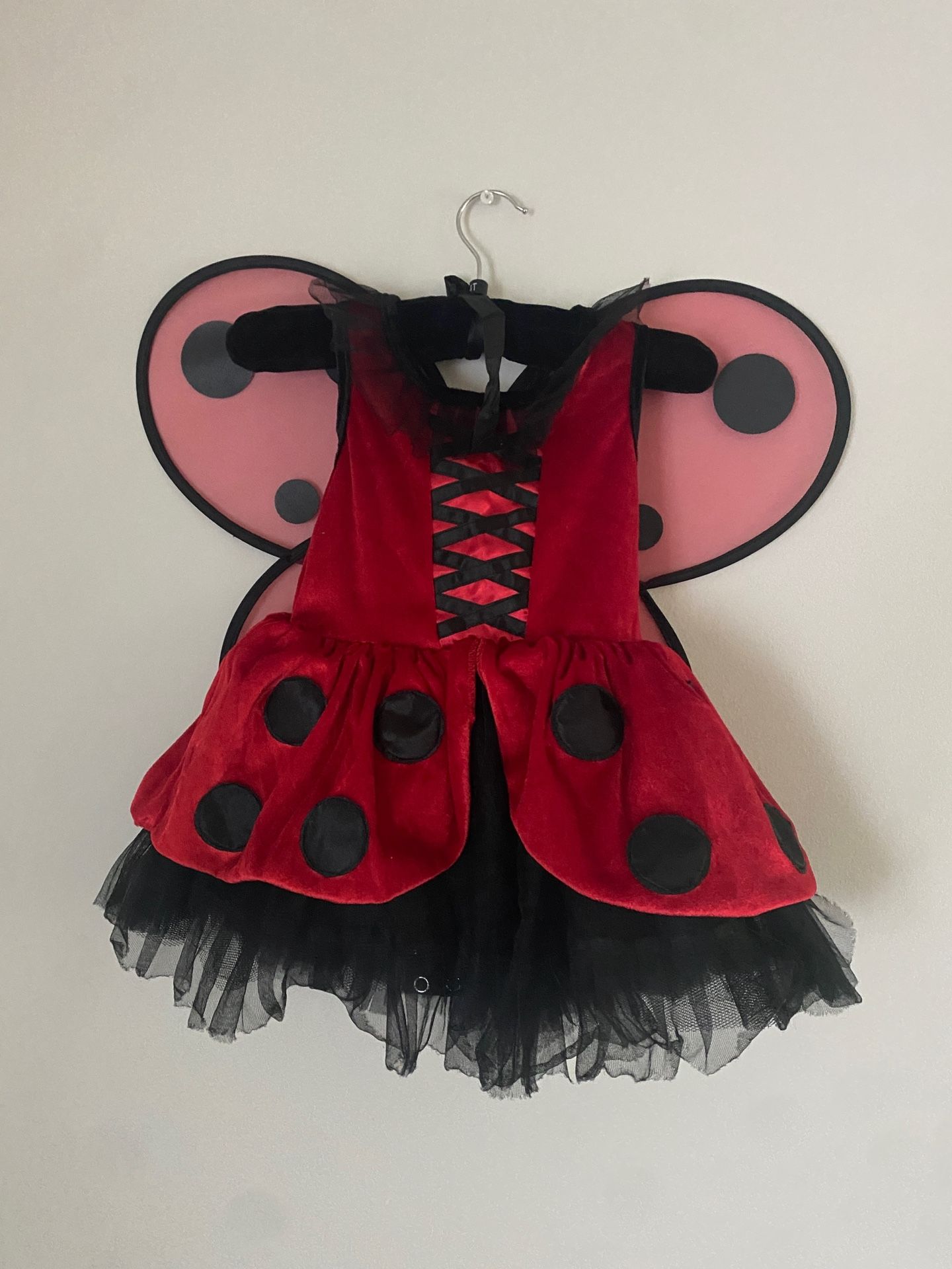Beautiful Lady Bug Halloween Costume 🐞