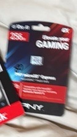 Sony Gaming 256GB MicroSD Card