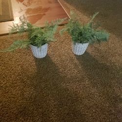 Fake Plants Both For 15