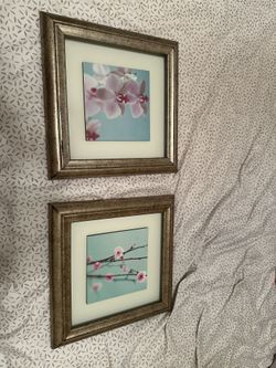 2 Frames