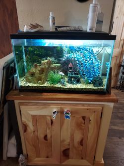 30 Gallon Freshwater Tank