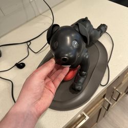 Black newest Aibo (includes pad)