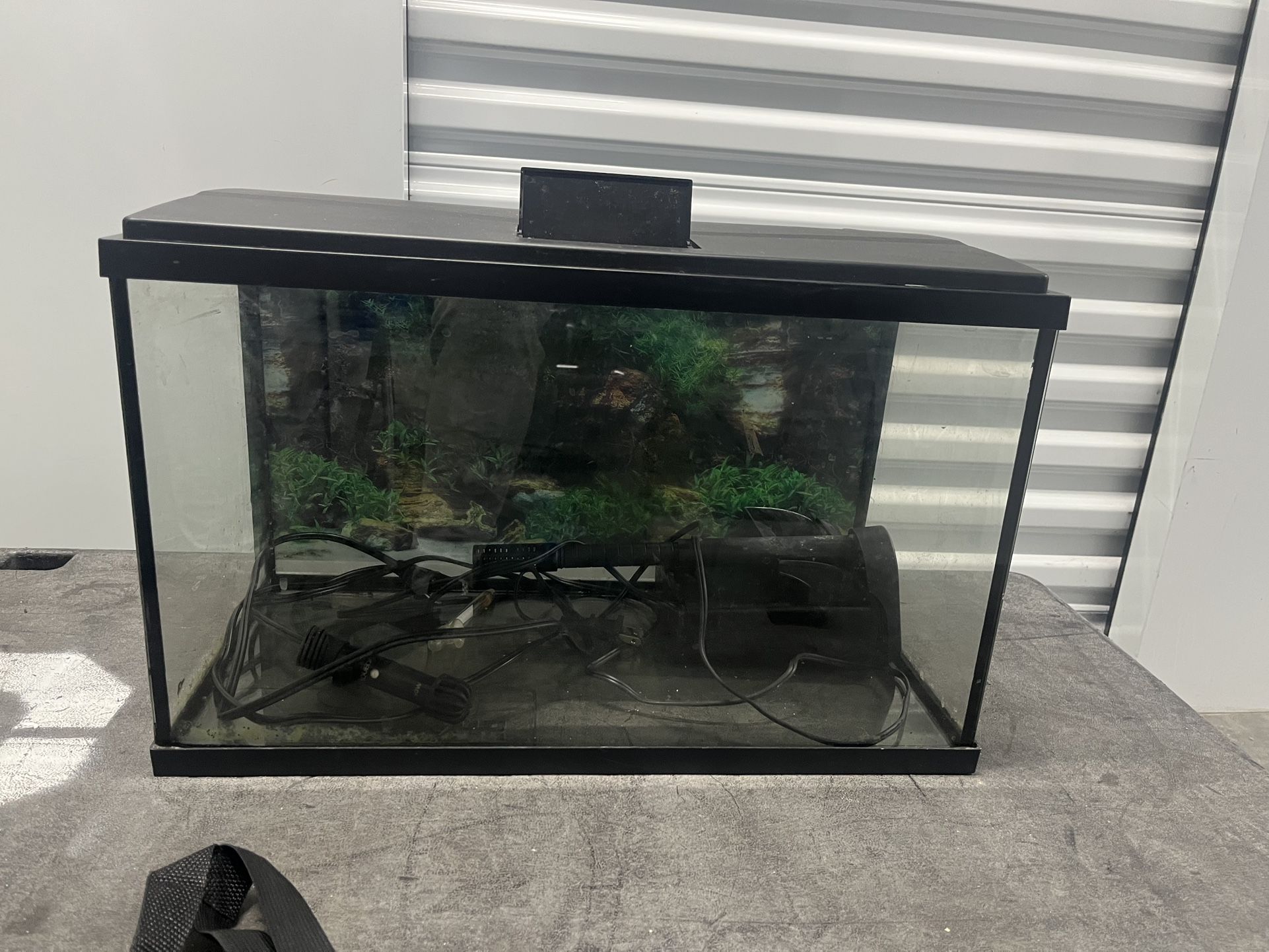 Fish Tank