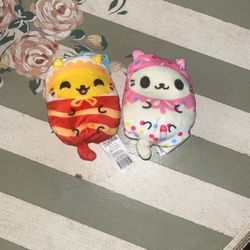 kittens from cats vs pickles