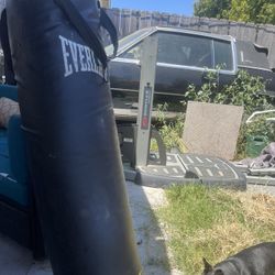 Everlast Punching Bag
