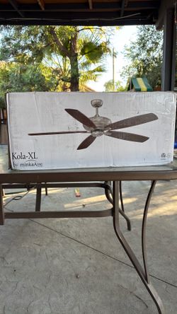 indoor ceiling fan