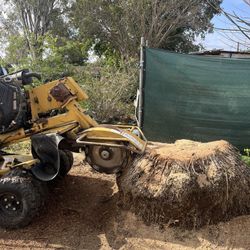 Power Stump Grinding