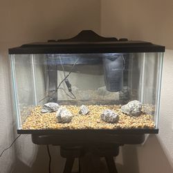 10 Gallon Fish Tank With Accessories