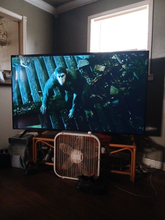 Flat Scree TV 