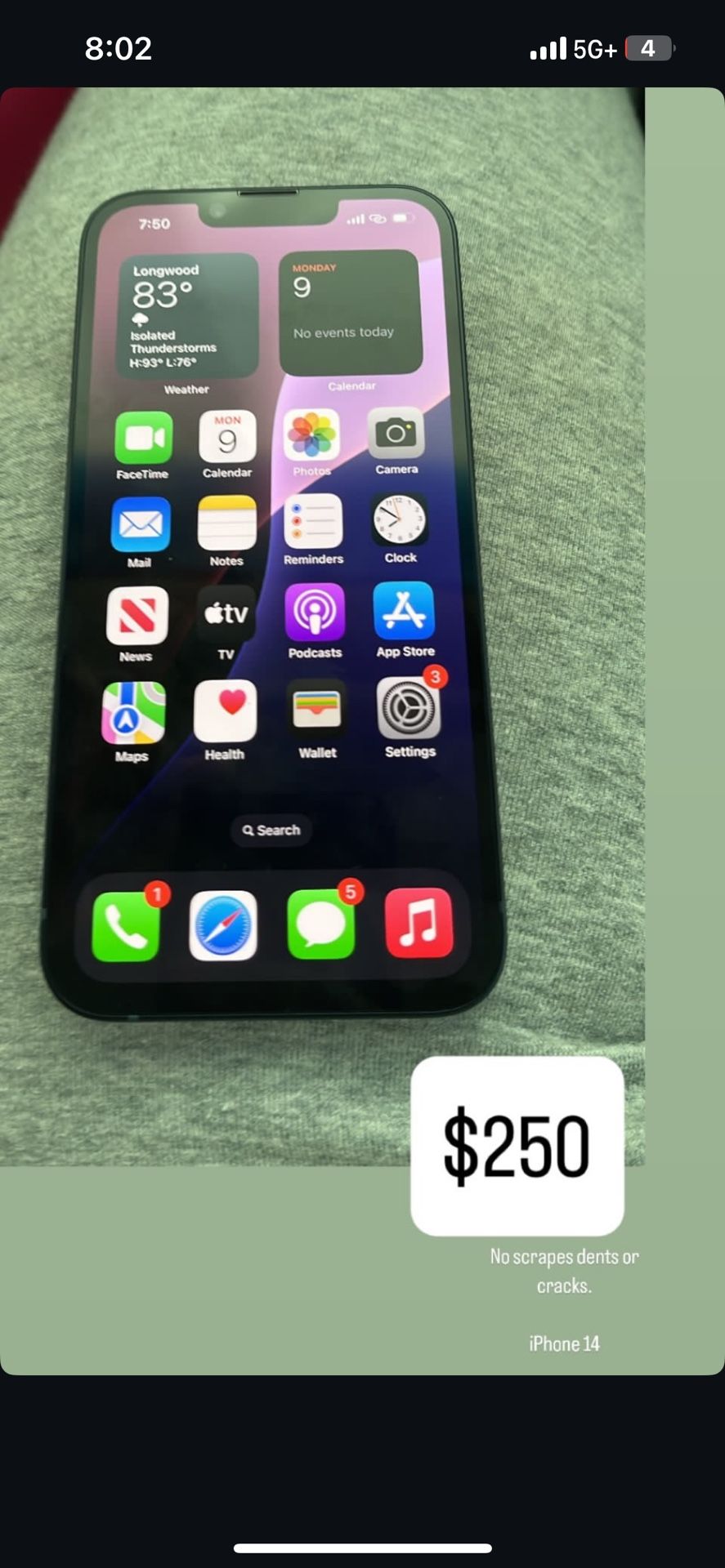 iPhone 13