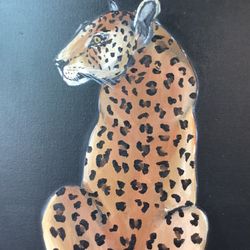 Cheap Beautiful Big Kitties