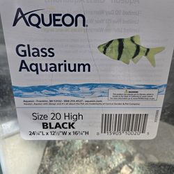 Fish tank or lizard tank