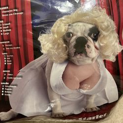 Dog Marilyn Monroe Halloween Costume XS