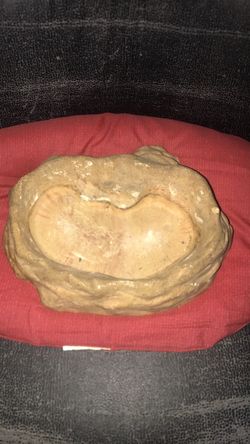 Water bowl for a Snake or any reptile