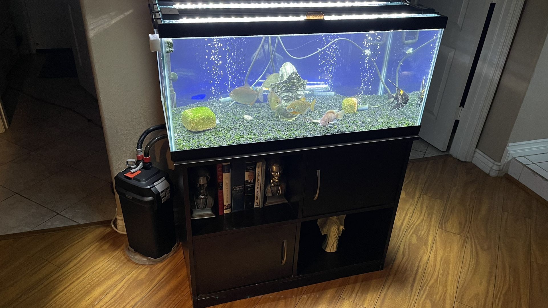 Aquarium/fish Tank & Stand 40 Gallon Breeder Loaded for Sale in