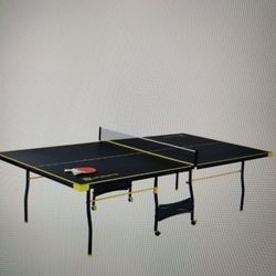 Brand New MD Ping Pong Table