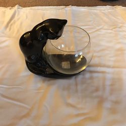 Black Cat  Fishbowl