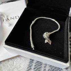 16cm Pandora set of two feather charms