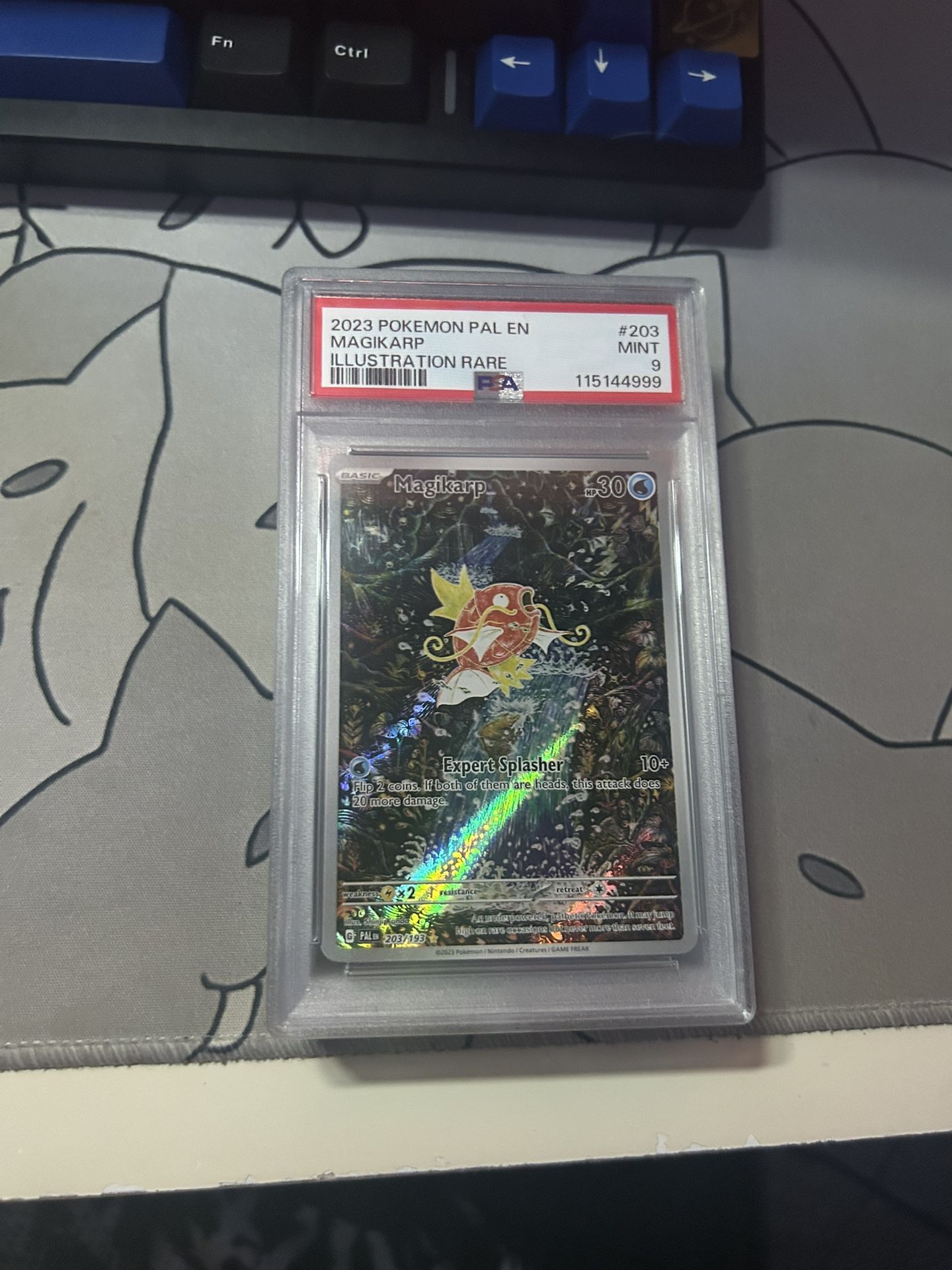 Pokemon Card Slabs