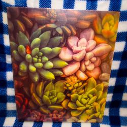 Succulent Canvas Print