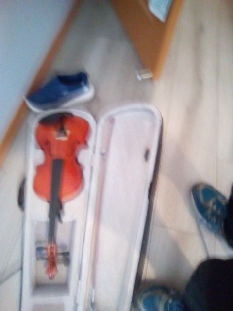 Brand New Full Size 4/4 Violin