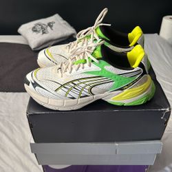 Pumas