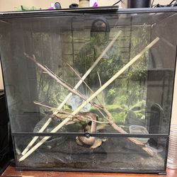 Reptile tank