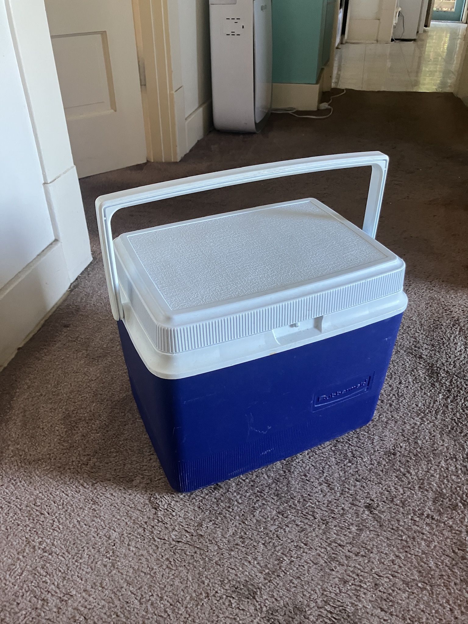 Rubbermaid Cooler