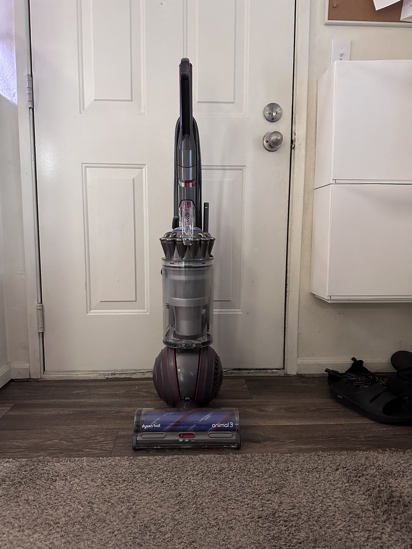 Dyson Animal 3