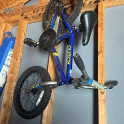 Clutch 16 Inch Bike 20