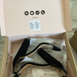 Charlotte Russe & Fashion Nova 