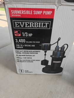 Everbilt 1/3 HP sump pump.