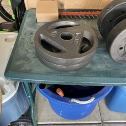 Golds Gym Bench And Free Weights 