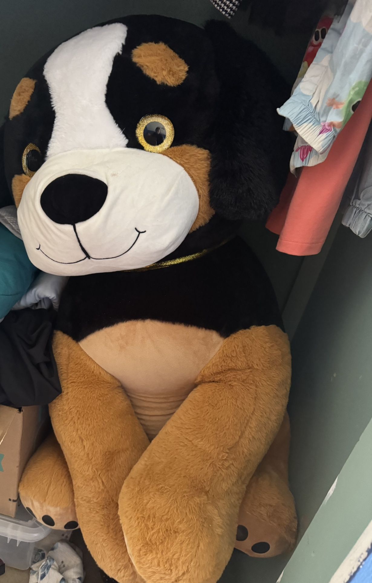 Stuffed Animal
