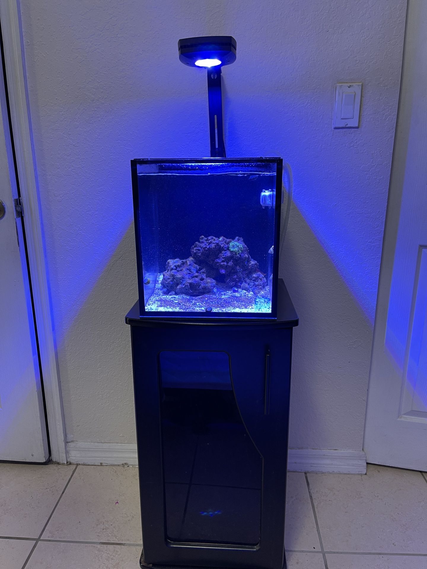 Nuvo Fusion 10 Gallon nano Aquarium Fish Tank With Stand And Accessories
