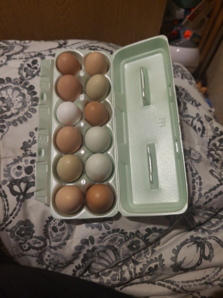 Fresh Farm Eggs