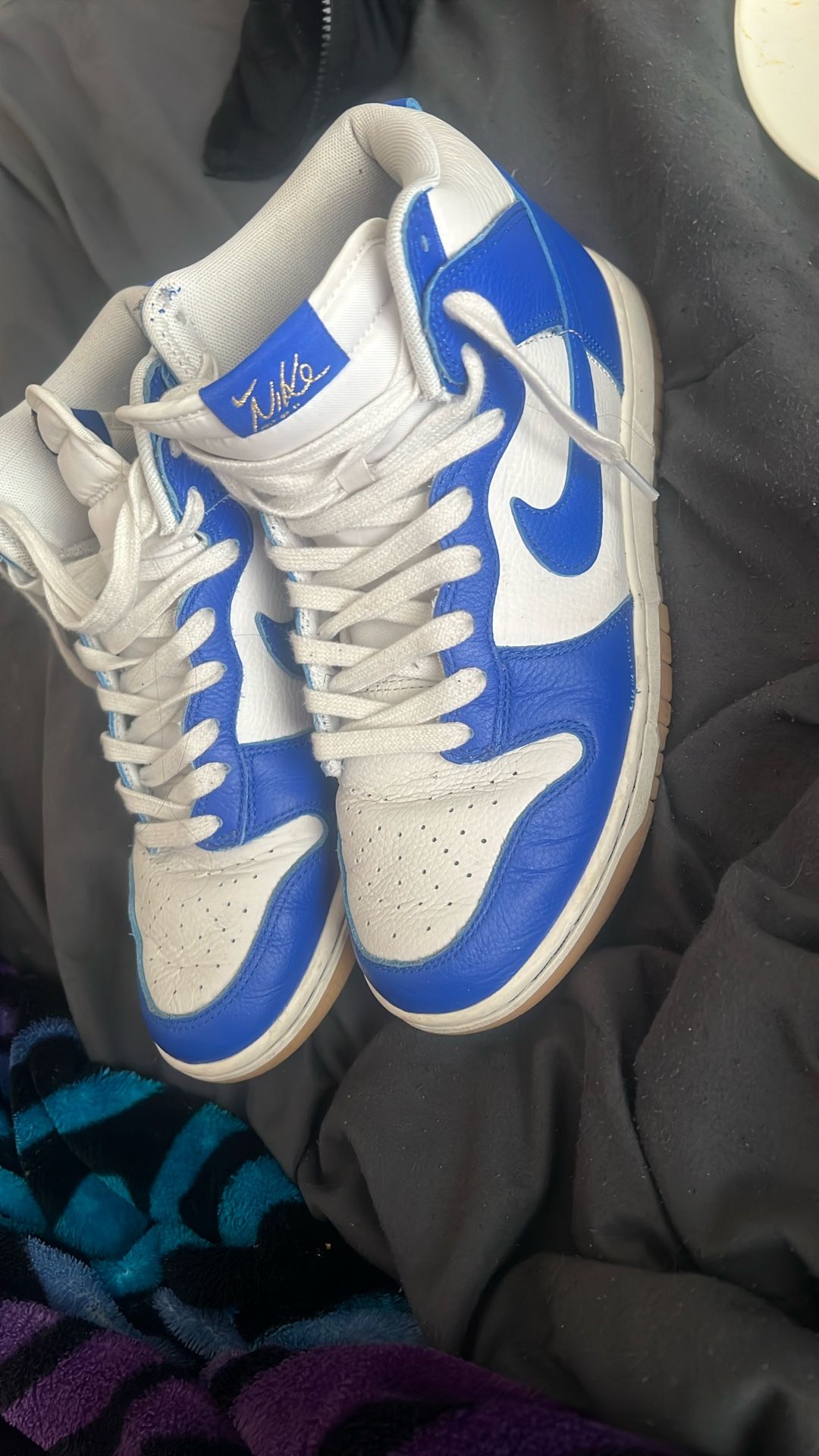 Nike dunk hi retro
