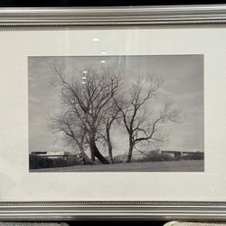 Original Black and white 