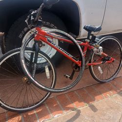 Redline Jr Pro
