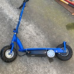 Custom Electric Scooter 