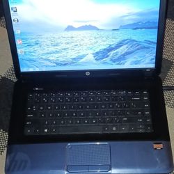 HP 2000