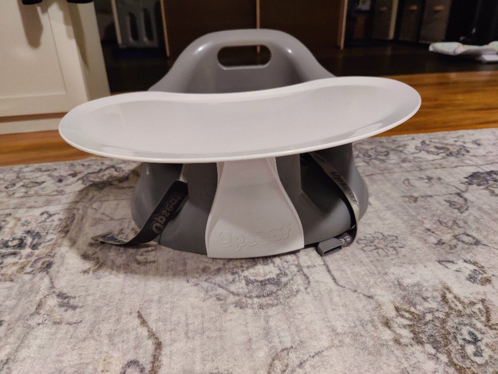 Upseat With A Removable Tray