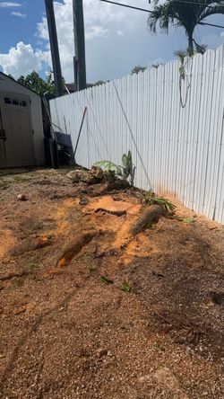 Stump grinding