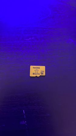 Nintendo Micro Sd Card 256GB